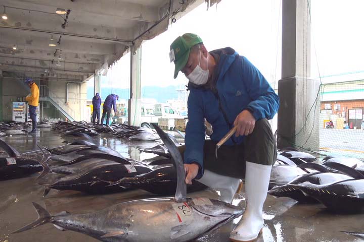紀州天然まぐろ物語
